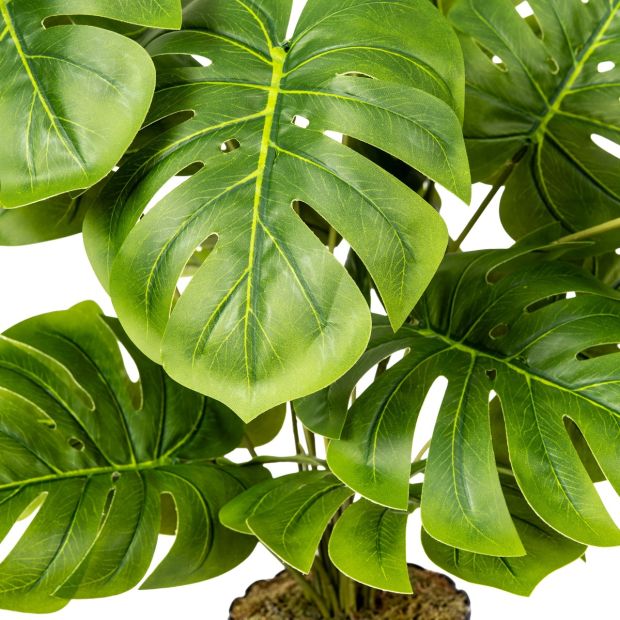 FairyTrees Künstliche Monstera Real Touch 70 cm 70 cm
