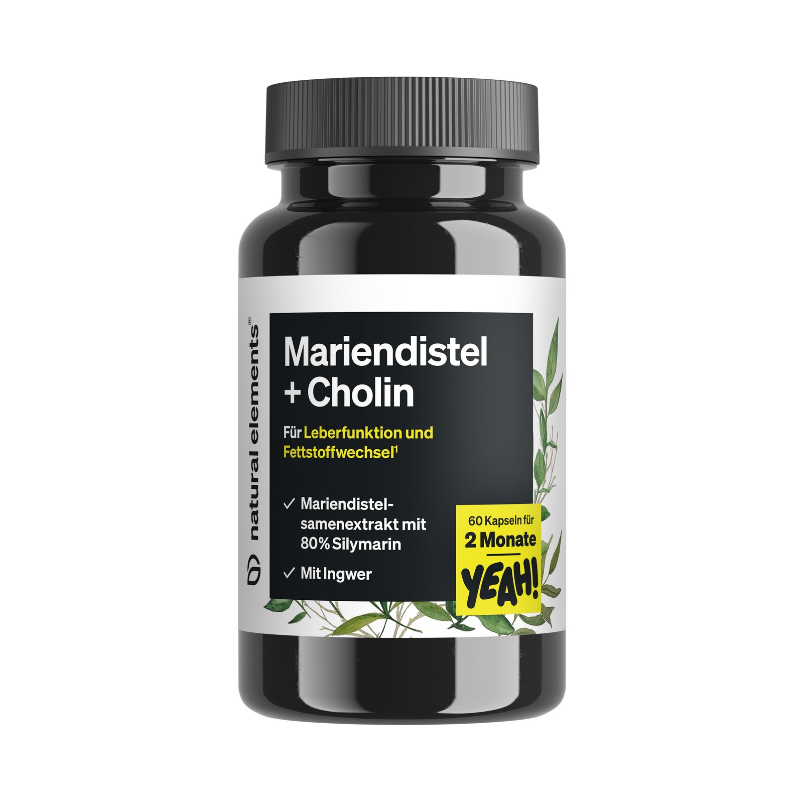 Mariendistel + Cholin