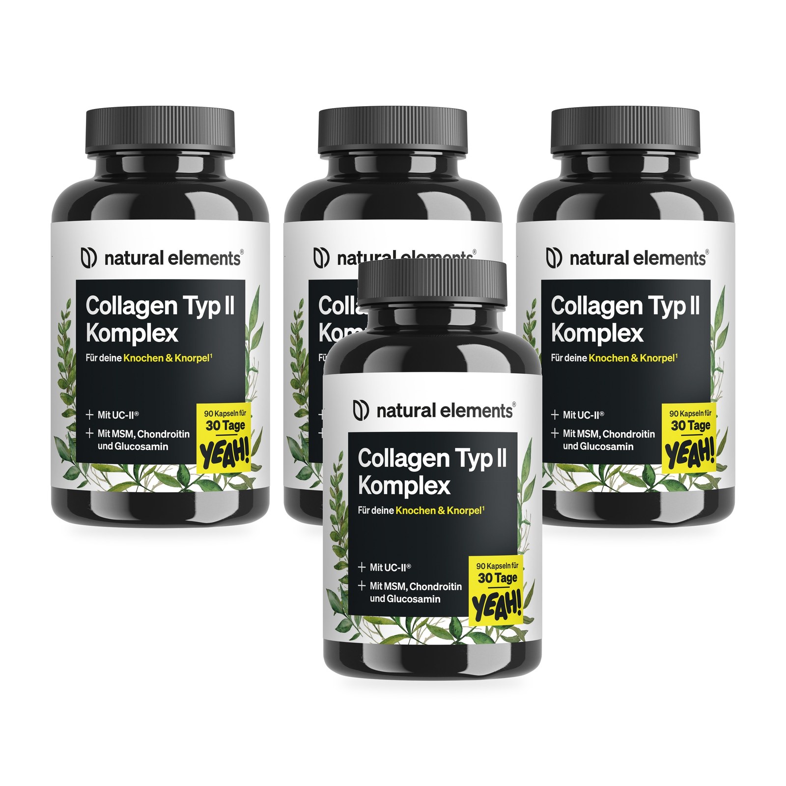 Collagen Typ II Komplex