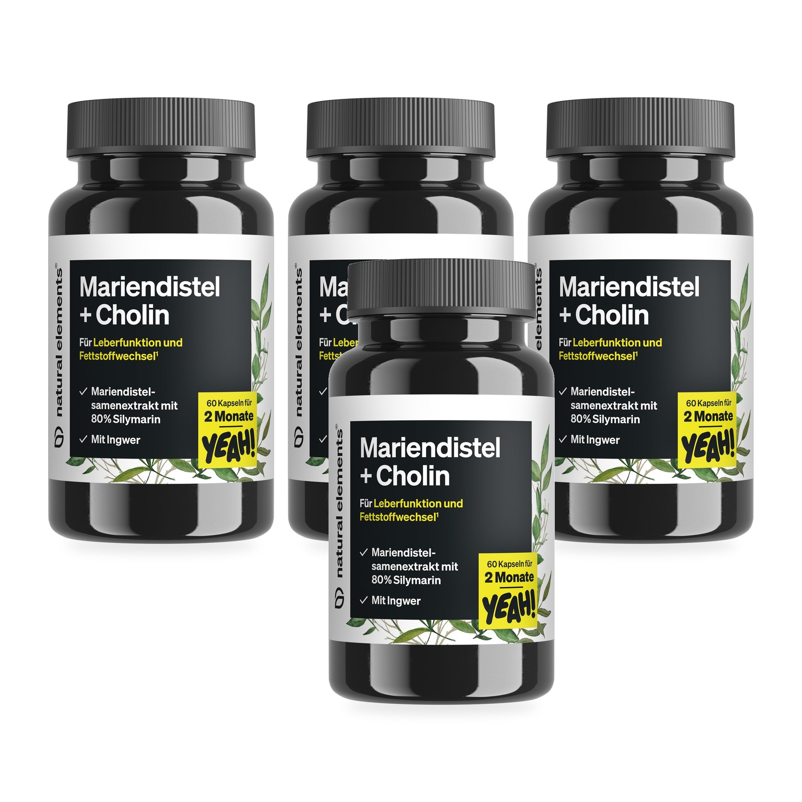 Mariendistel + Cholin