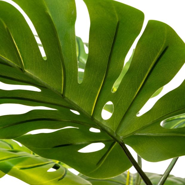 FairyTrees Künstliche Monstera am Stamm 160 cm