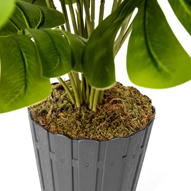 FairyTrees Künstliche Monstera Real Touch 70 cm 70 cm