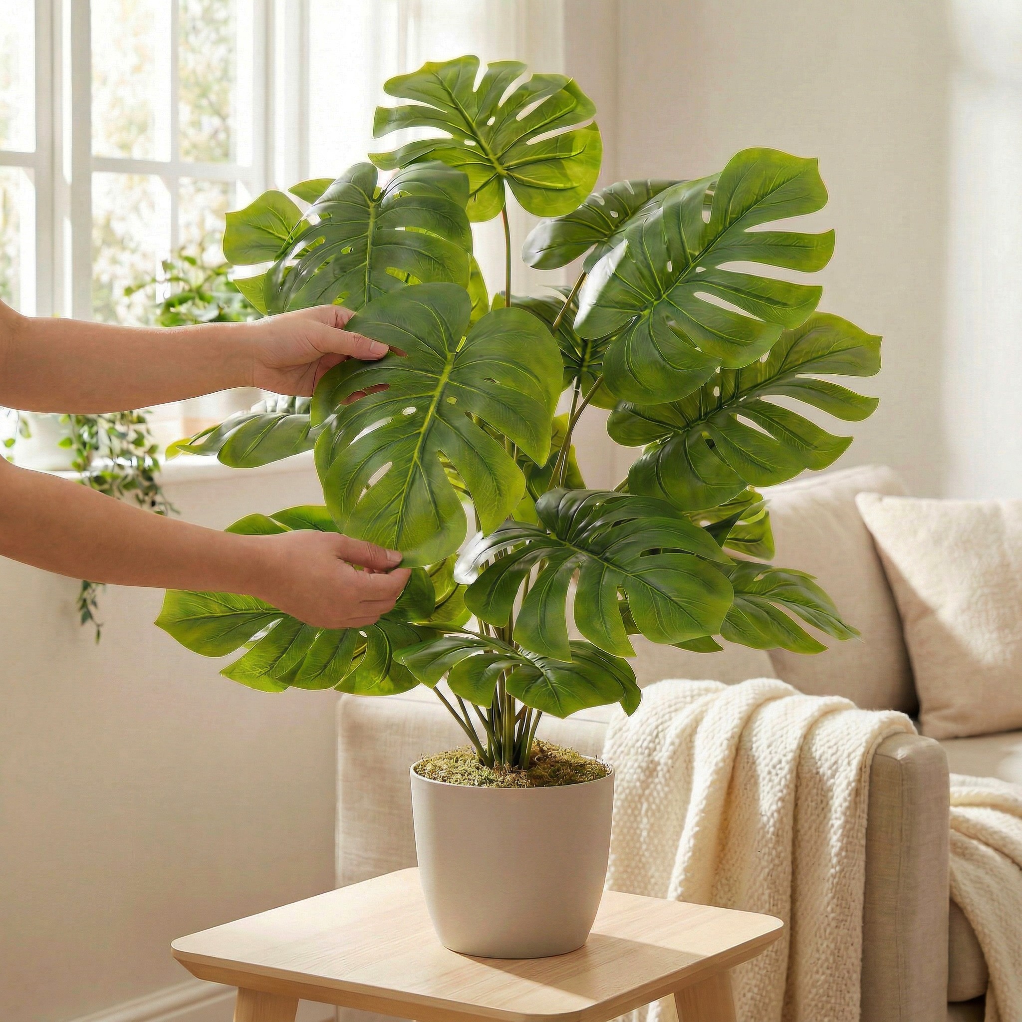 Hände richten die Blätter der künstlichen Monstera 70 cm FairyTrees auf dem Tisch aus und betonen so ihr natürliches Aussehen und ihre Flexibilität.