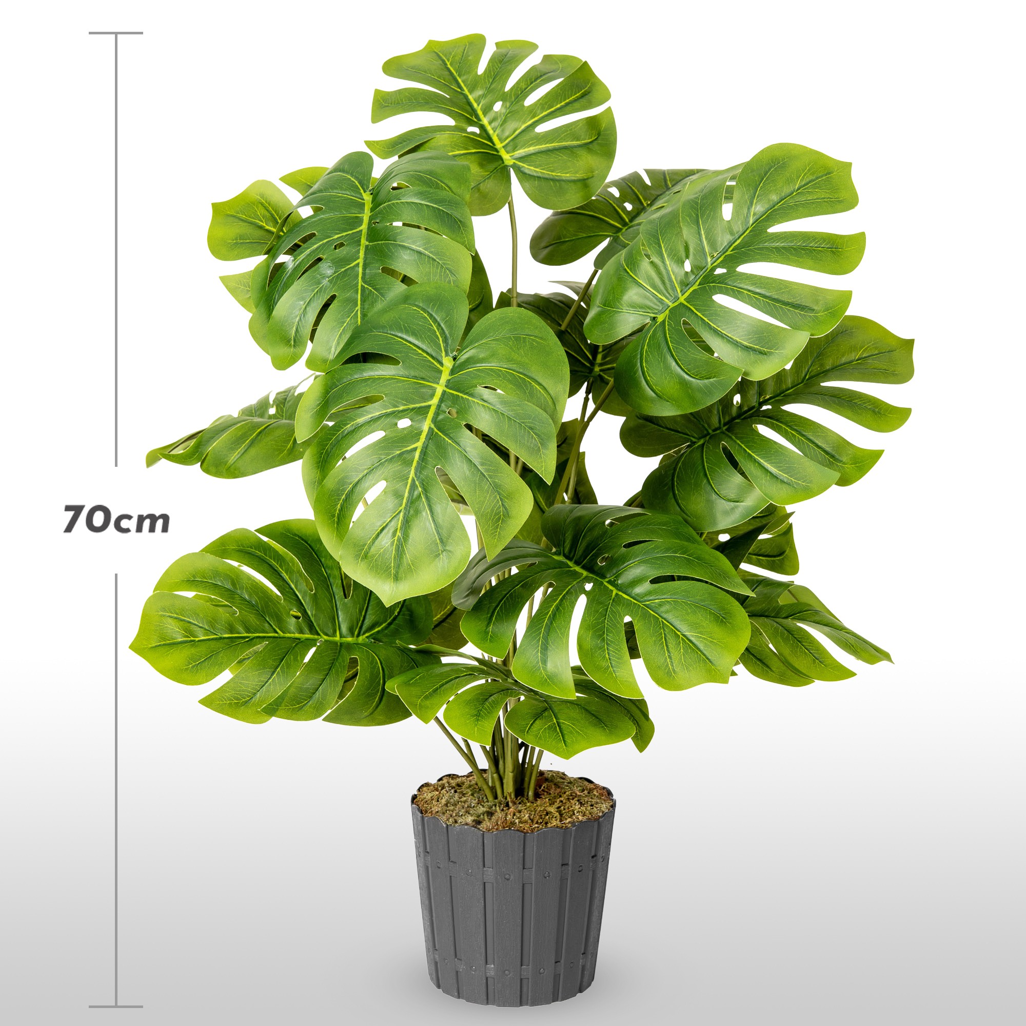 Künstliche Monstera 70 cm von FairyTrees vor hellem Hintergrund mit Angabe der Pflanzenhöhe.